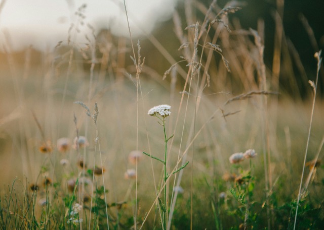 Stress Leaves an Imprint. Here are 6 Ways to Protect Yourself